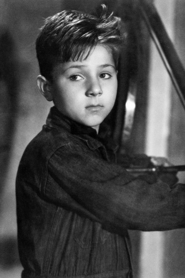 엔조 스타이올라