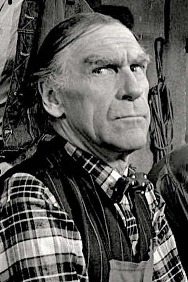 아르네 뱅 핸슨