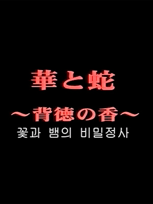 꽃과 뱀의 비밀정사