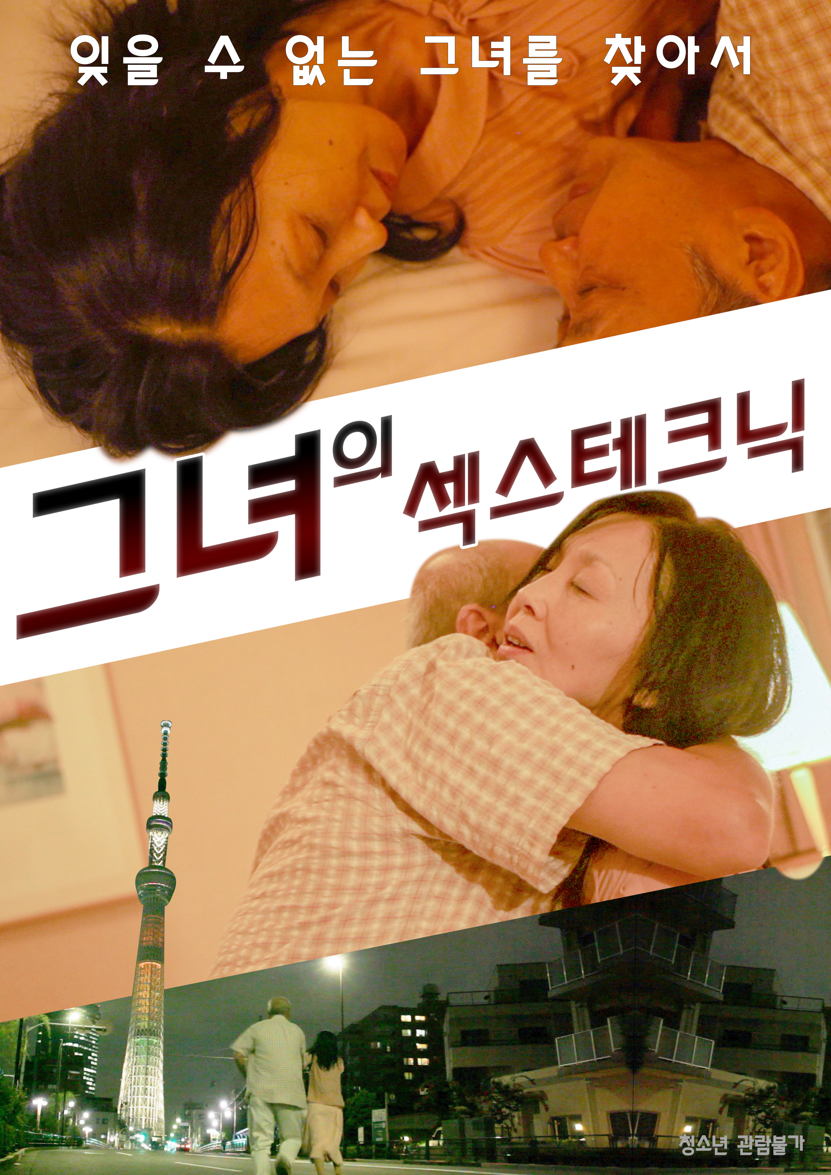 그녀의 섹스 테크닉