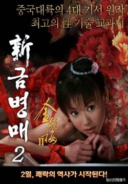 신 금병매 2