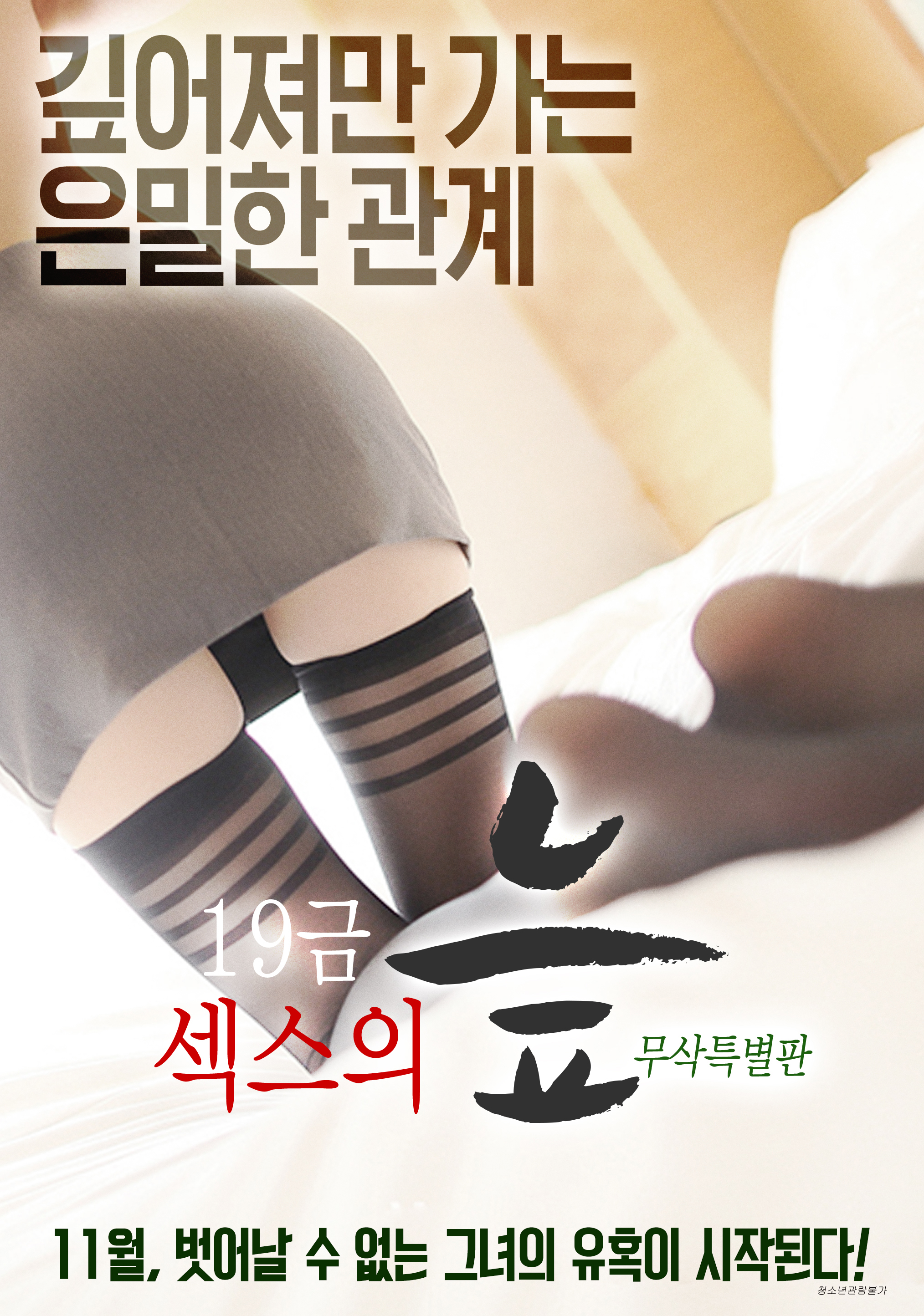 19금 섹스의 늪 무삭특별판