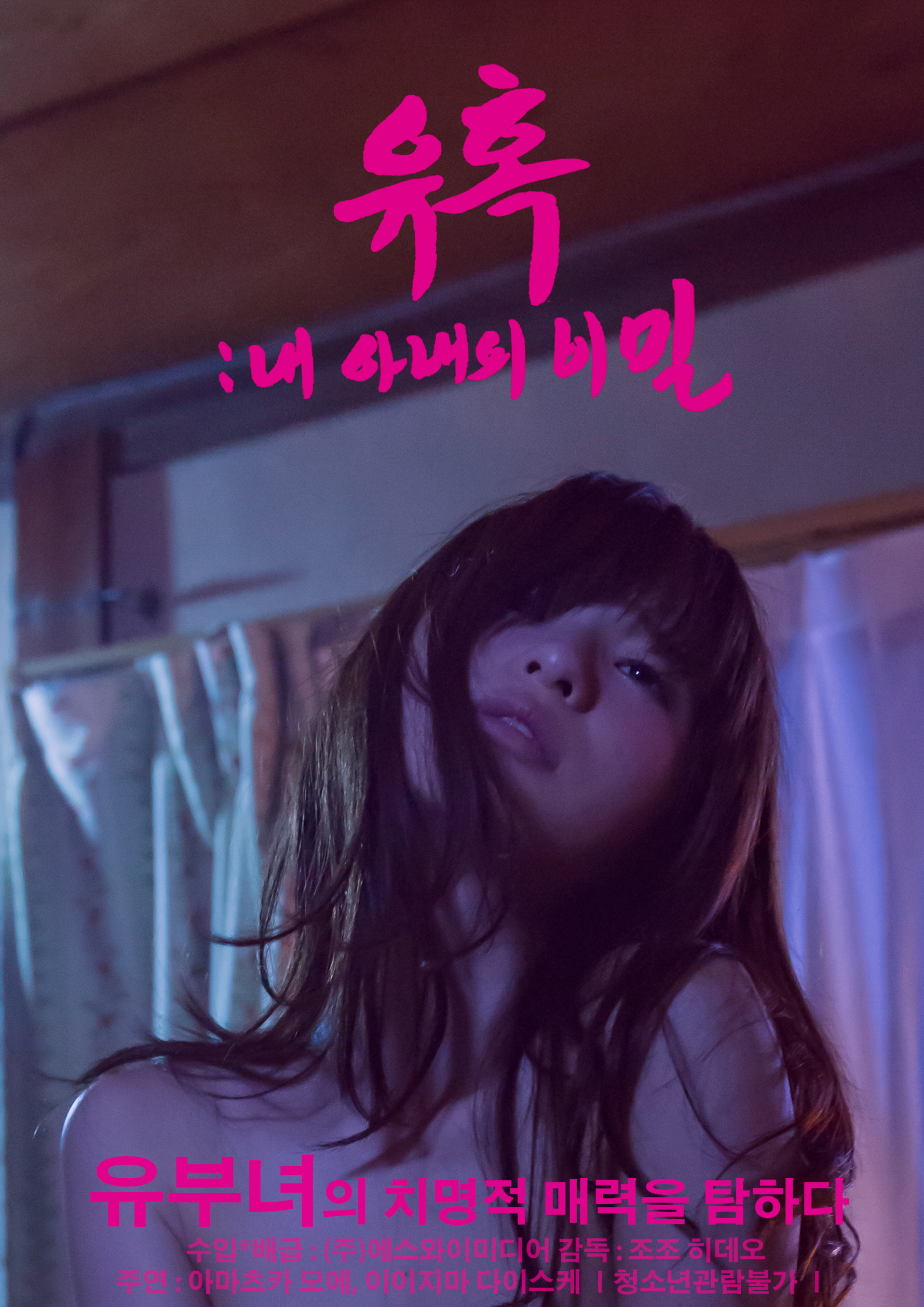 유혹 : 내 아내의 비밀