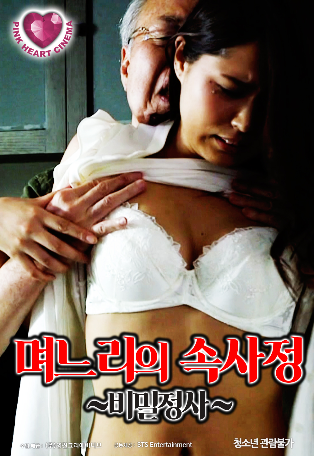 며느리의 속사정:비밀 정사