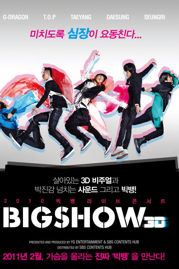 2010 빅뱅라이브콘서트 BIGSHOW 3D
